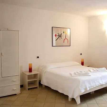 Amphisya 3*